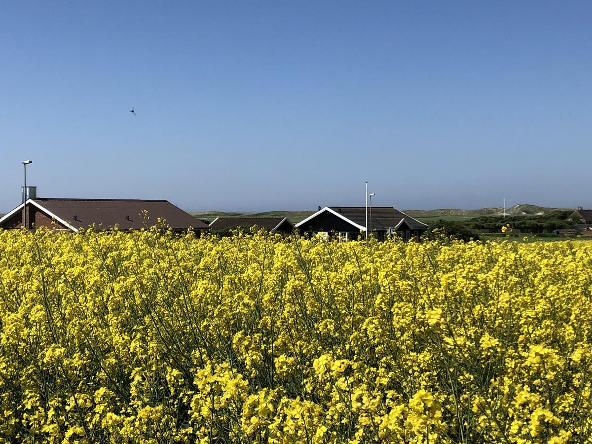 Danhostel Fjaltring Exteriér fotografie